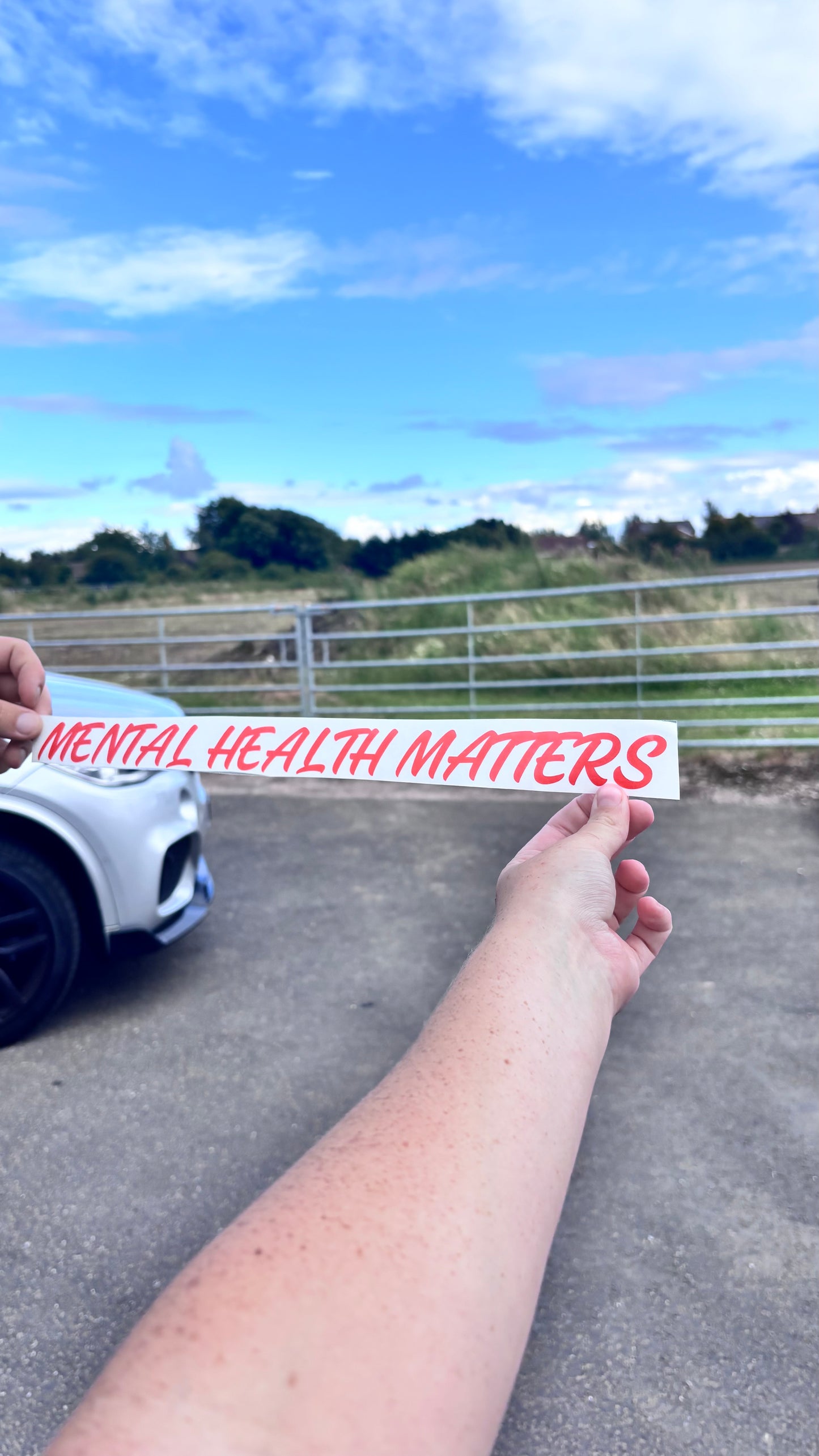 Mental Health Matters sticker/decal