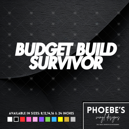 Budget Build Survivor sticker/decal