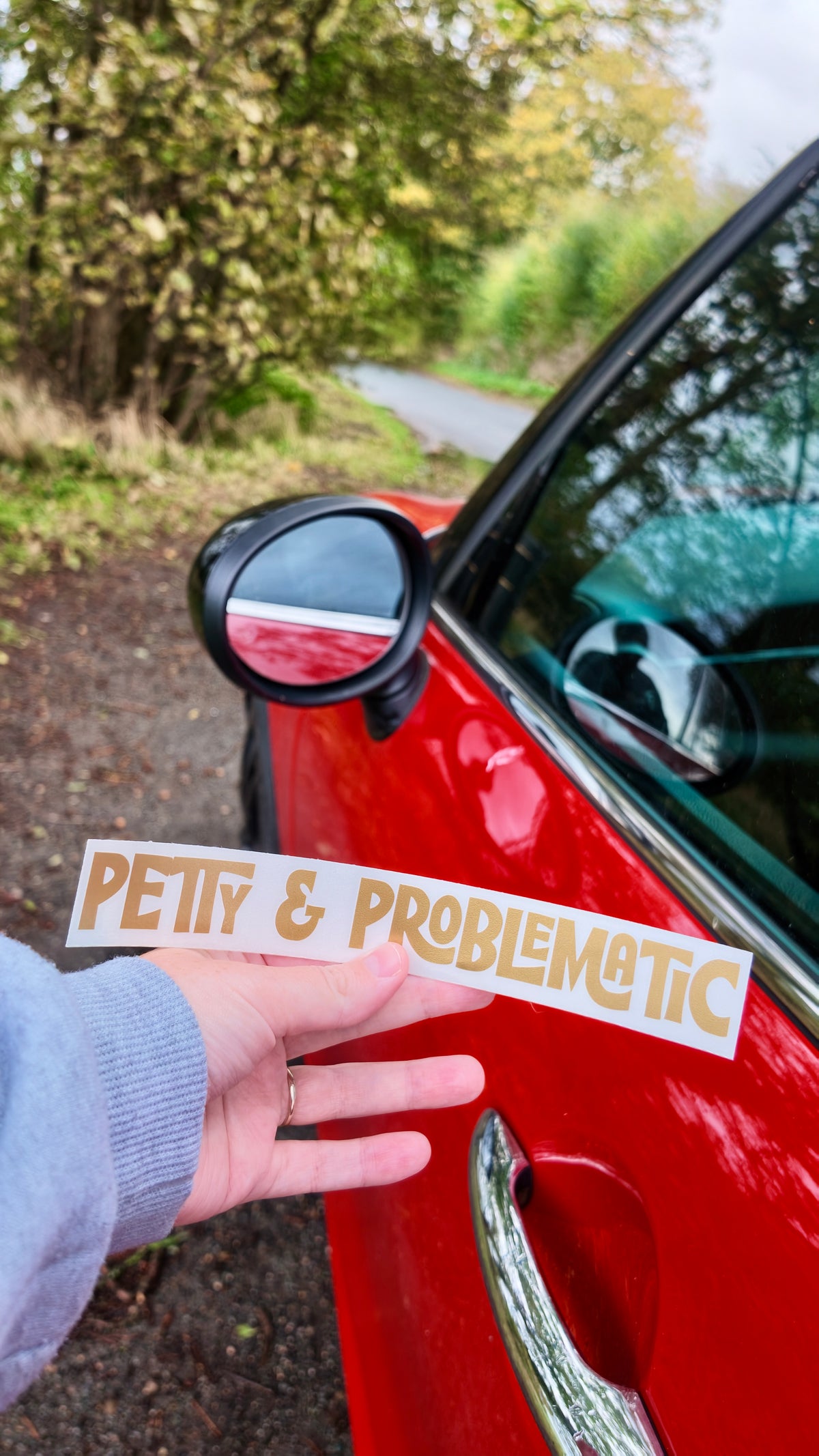 Petty and Problematic sticker/decal