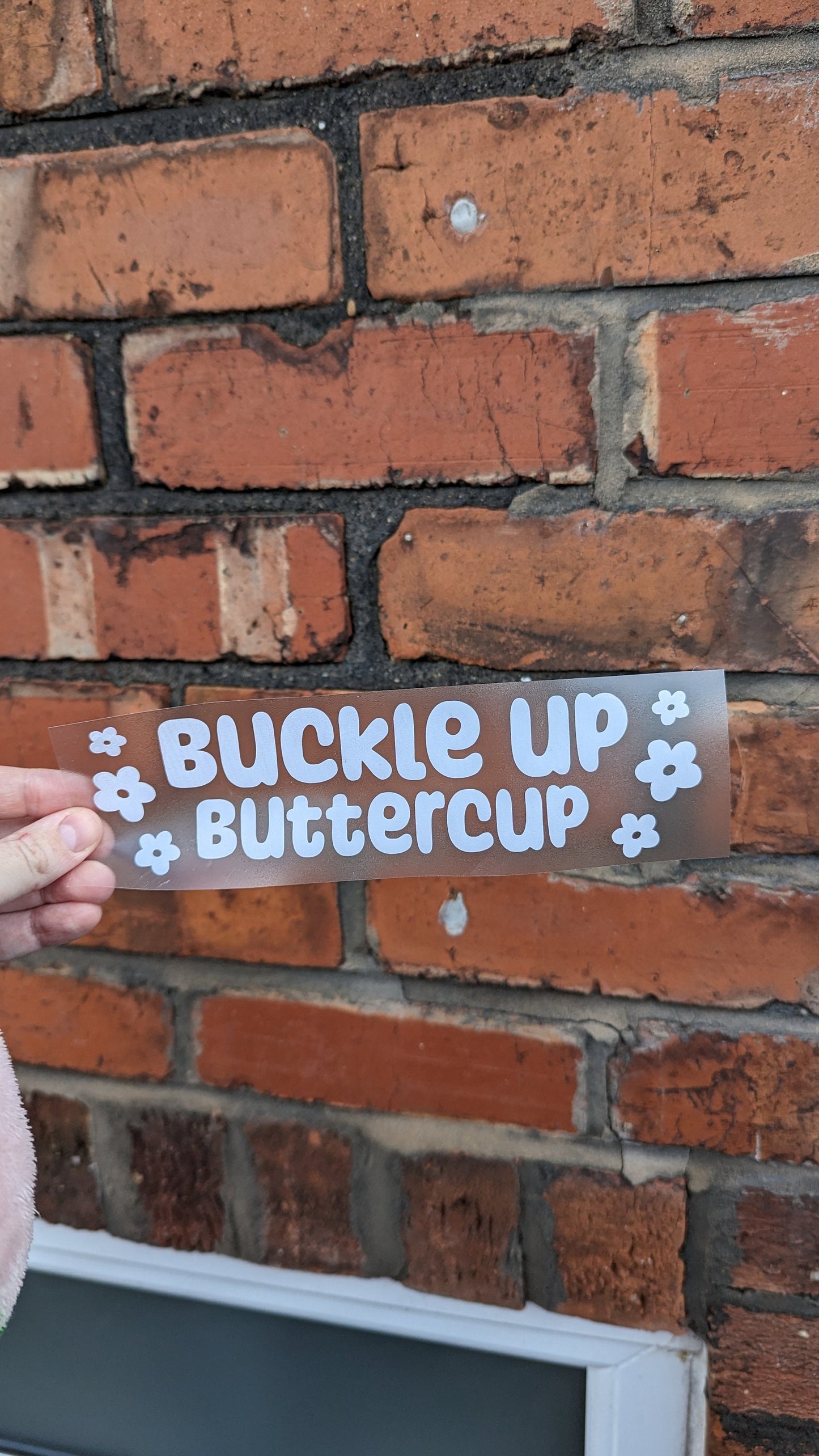 Buckle Up Buttercup, Car Vinyl Decal,  Waterproof Car or Van Curb Mirror Sticker, Funny Gift or Custom Car Bumper